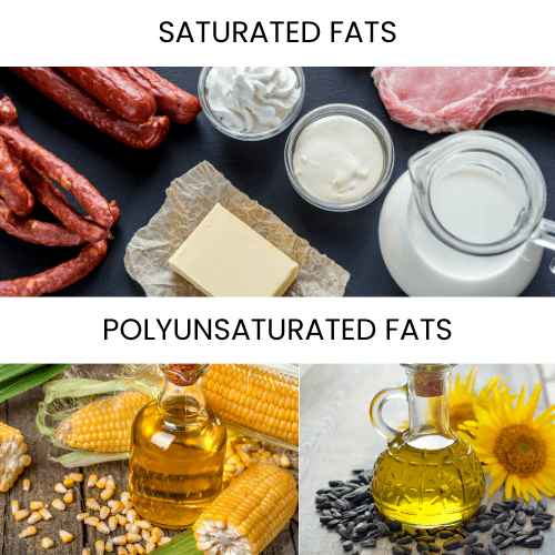 Saturated Fats vs Polyunsaturated Fats