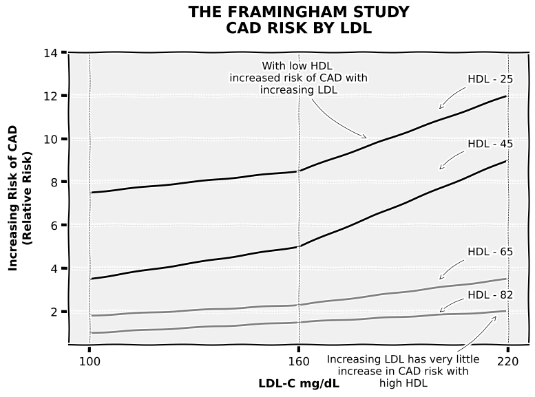 Framingham study CAD risk by LDL and HDL